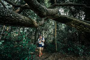 BIB: 
                            <button type="button" onclick="openModal(25706039)" class="btn btn-primary btn-sm float-right btn-popup" data-toggle="modal" data-target=".modal-high-quality">
                        <i class="fas fa-shopping-cart"></i> Add to Cart
                    </button>
                                            <button type="button" onclick="isThisMe(25706039, true)" class="btn btn-success btn-sm float-right btn-popup btn-isme hidden" data-toggle="tooltip" data-placement="bottom" title="นี่คือรูปของคุณใช่ไหม คลิกที่นี่เพื่อเอาเข้าอัลบั้ม">
                        <i class="fas fa-plus"></i> Add to album
                    </button>
                    <button type="button" onclick="isThisMe(25706039, false)" class="btn btn-warning btn-sm float-right btn-popup btn-isnotme hidden">
                        <i class="fas fa-ban"></i> Remove from album
                    </button>